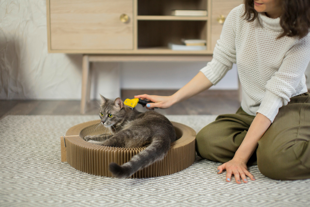 El Papel Vital del Juego en la Salud y Bienestar de tu Gato